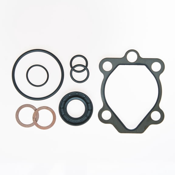 Edelmann P/S Pump Seal Kit - 8830