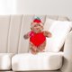 thumbnail image 3 of Jellycat Bartholomew Bear Strawberry Plush Toy-11.02Inch-Valentine's Day Gift, Birthday Gift, 3 of 8