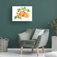thumbnail image 4 of Kathleen Parr McKenna 'Citrus Garden VIII' Canvas Art, 4 of 4