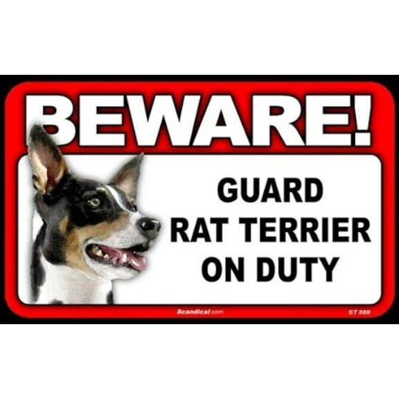 Beware Guard Dog On Duty Sign - Rat Terrier