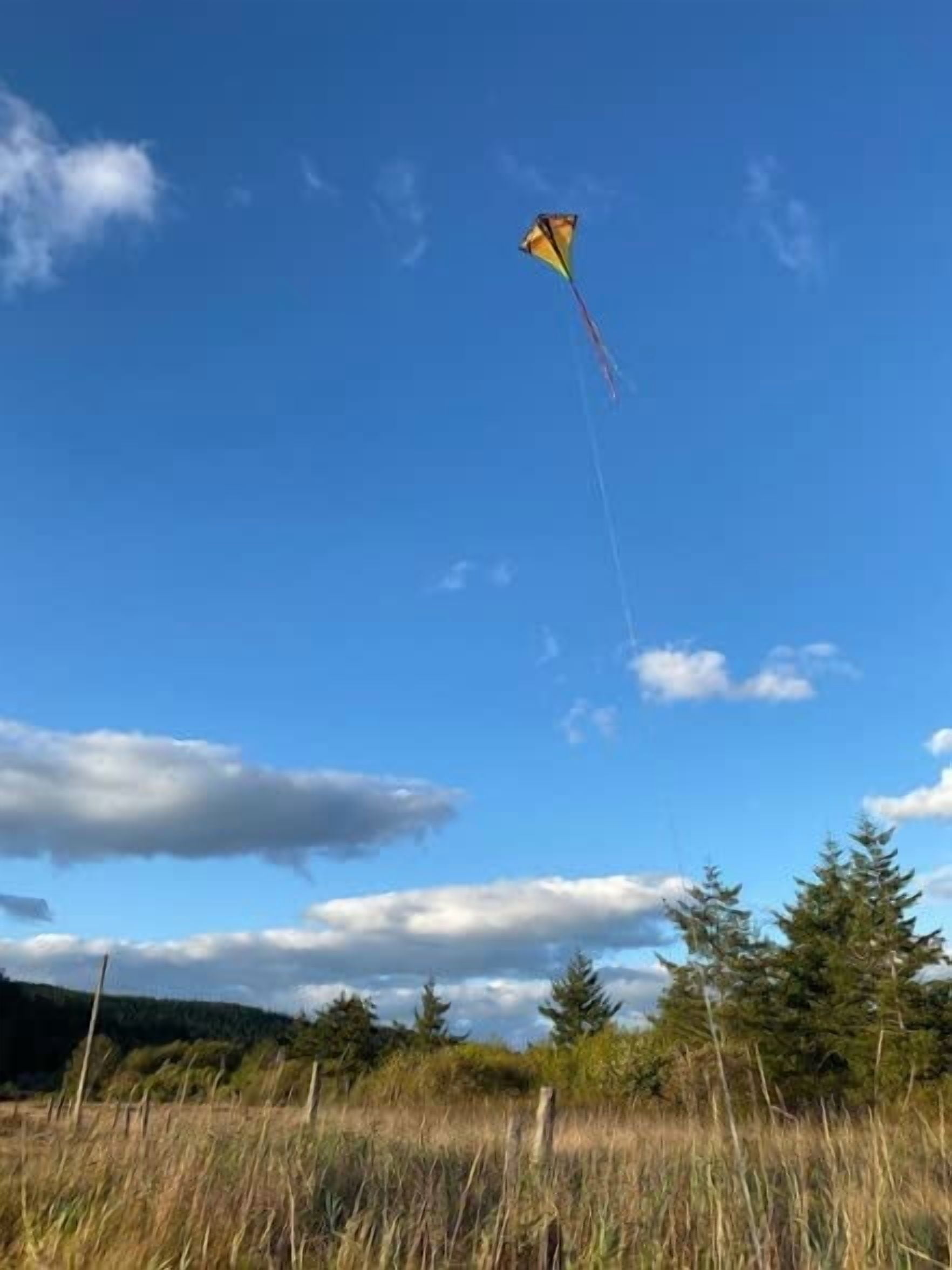 Prism Kite Technology Vertex High Flying Diamond Kite with 10' Long Triple Streamer Tail, Ultraviolet