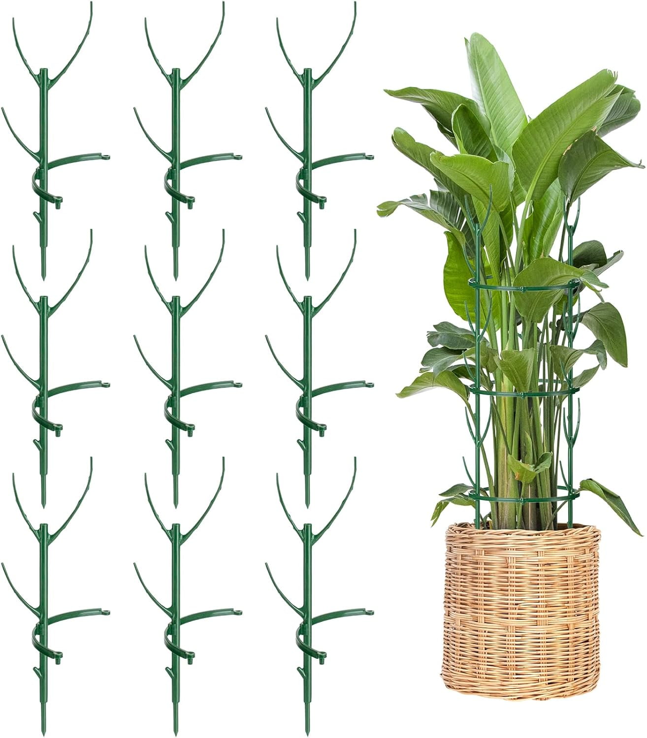 24 Pcs Plant Support Stakes for Indoor and Outdoor Plants, Stackable Garden Flower Supports and Plant Cages for Tomatoes, Monstera, Peonies, Hydrangeas, and Climbing Plants