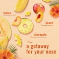 thumbnail image 3 of Ambientador Febreze Small Spaces Hawaiian Aloha Scent 2x45d, 3 of 8