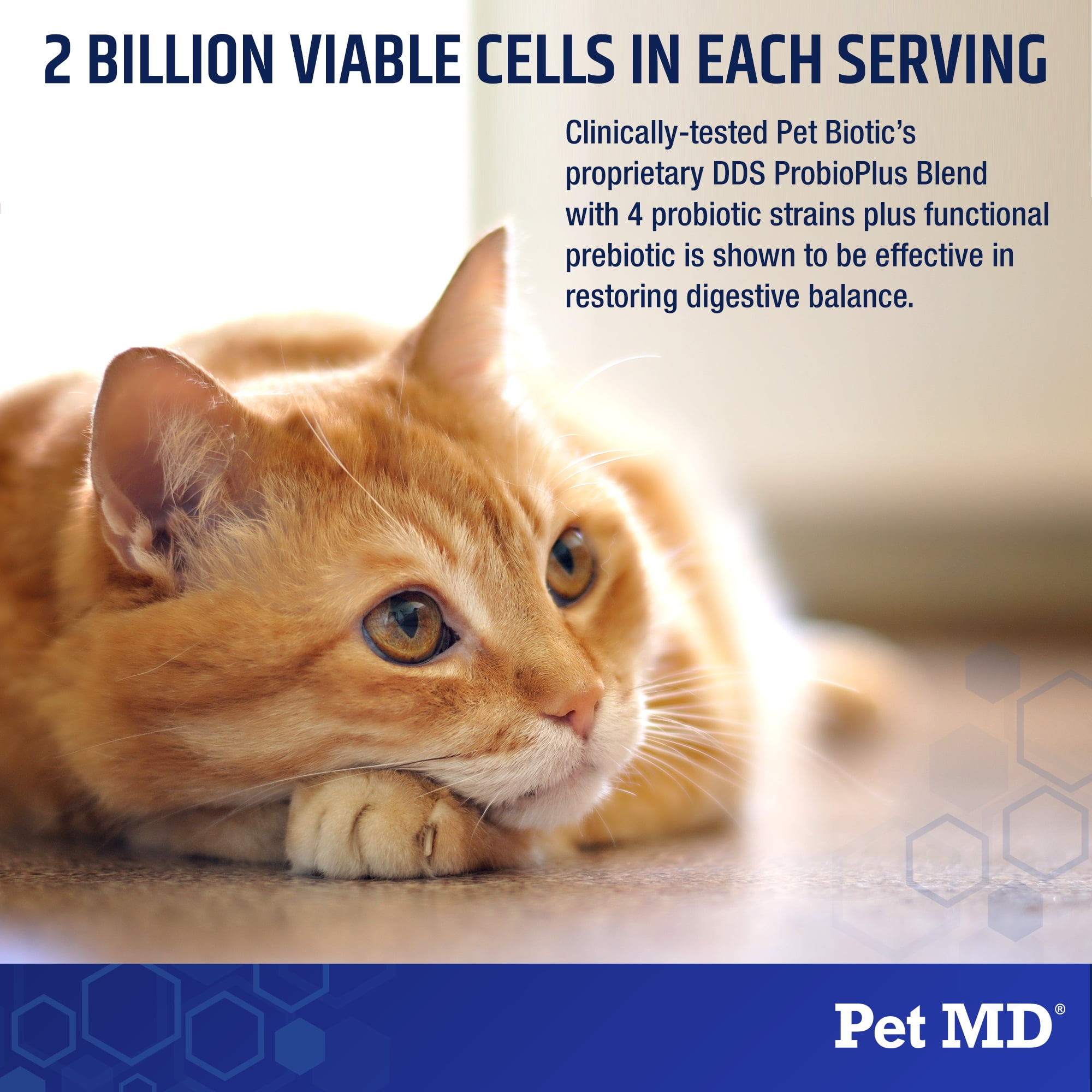 Pet MD Biotic Probiotics for Dogs & Cats - Prebiotic, Fiber, & Probiotic Powder - Gas, Constipation Relief, & Anti Diarrhea - Balance Digestive Flora & Restore Gut Health for Dogs & Cats - 2.12 oz
