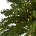 thumbnail image 5 of Nearly Natural 7' Prelit LED Christmas Palm Artificial Tree, Green, 5 of 9