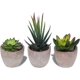 thumbnail image 1 of Juego de 3 pequeñas plantas artificiales decorativas para interiores y exteriores, suculentas en maceta para oficina, balcón, sala de estar y hogar", 1 of 5