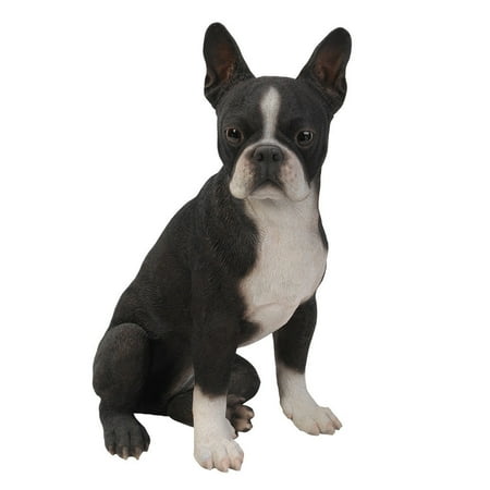 Home Design Glass Sculpture (Realistic Life Size Boston Terrier Statue Detailed Sculpture Glass Eyes Hand Painted Resin 16 inch Figurine Home Decor Amazing)