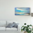 thumbnail image 3 of Trademark Fine Art 'April Sky' Canvas Art by Sheila Finch, 3 of 4