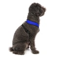 thumbnail image 4 of Arnés para perros Gooby Comfort X Head en azul para perros grandes, 4 of 7