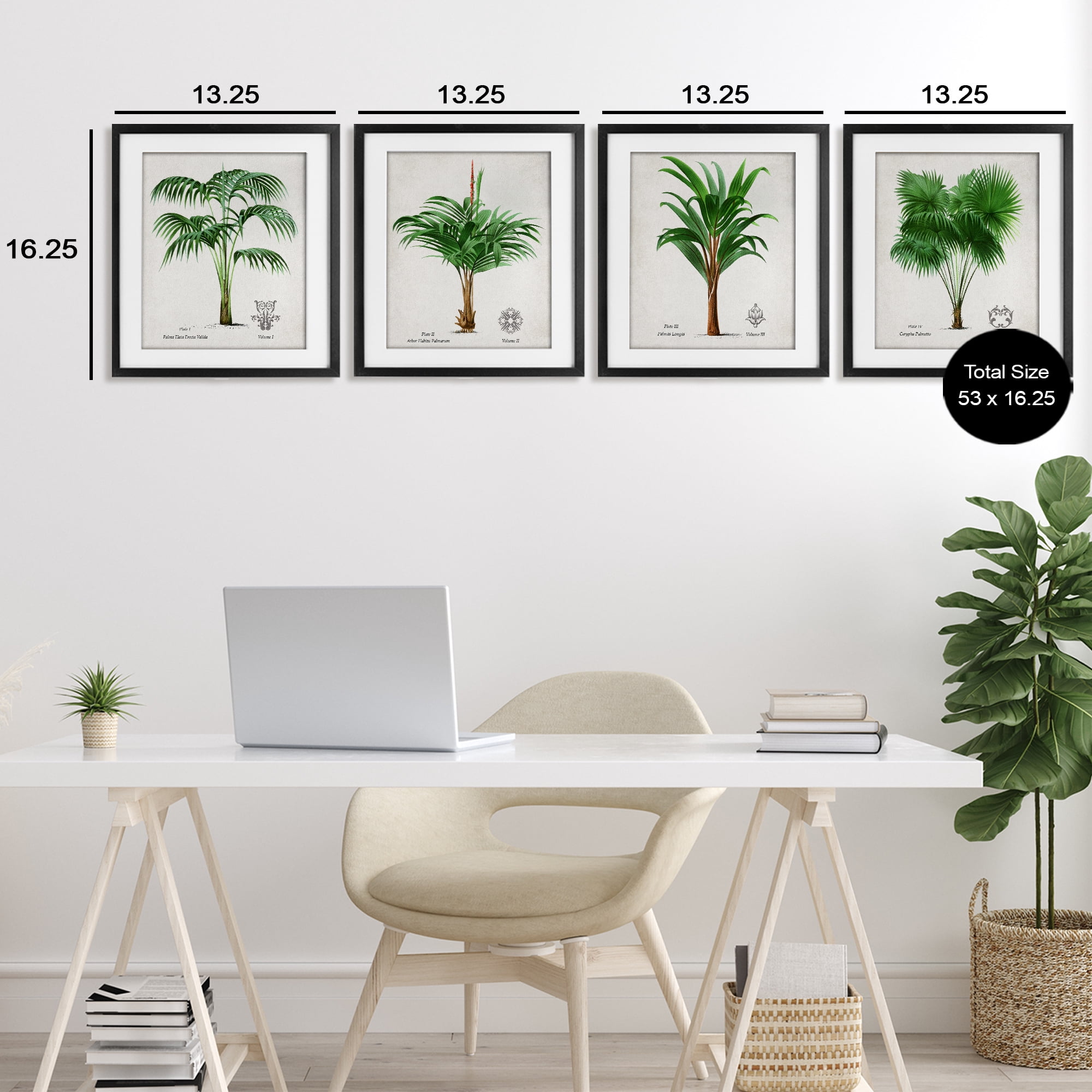 Stupell Industries Palm Varieties Studies 4 Piece Black Framed Print Under Glass Set, design by Natalie Carpentieri