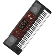 Korg Pa700 61 Keys Velocity Sensitive Professional Arranger Keyboard, Virtual Quarter Tone SubScale Keypad