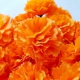 thumbnail image 3 of Marigold Flowers Heads Bulk, Silk Artificial Flowers for Diwali,Indian Festival, DIY Marigold Garland Day of The Dead Decorations (Orange), 3 of 10