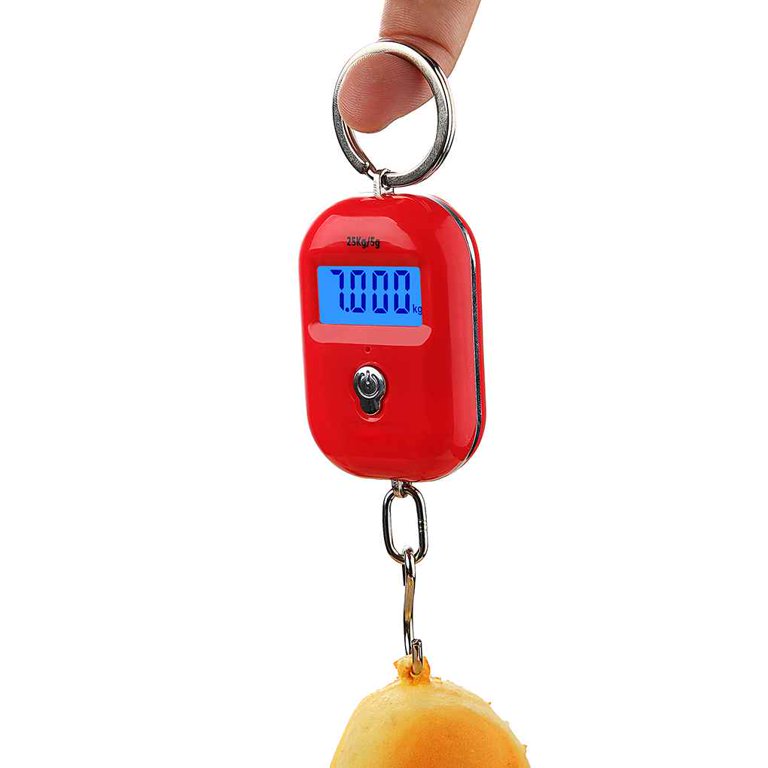 Digital Scale for Fishing Luggage Travel Weighting Steelyard Hanging Hook  Electronic Scales Kitchen Food Weight Tool