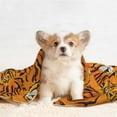 thumbnail image 4 of Naloa Tiger Dog Blanket, 3 Sizes Cat Blanket for Indoor Cats Large Medium Small Dog Gifts-Large, 4 of 8
