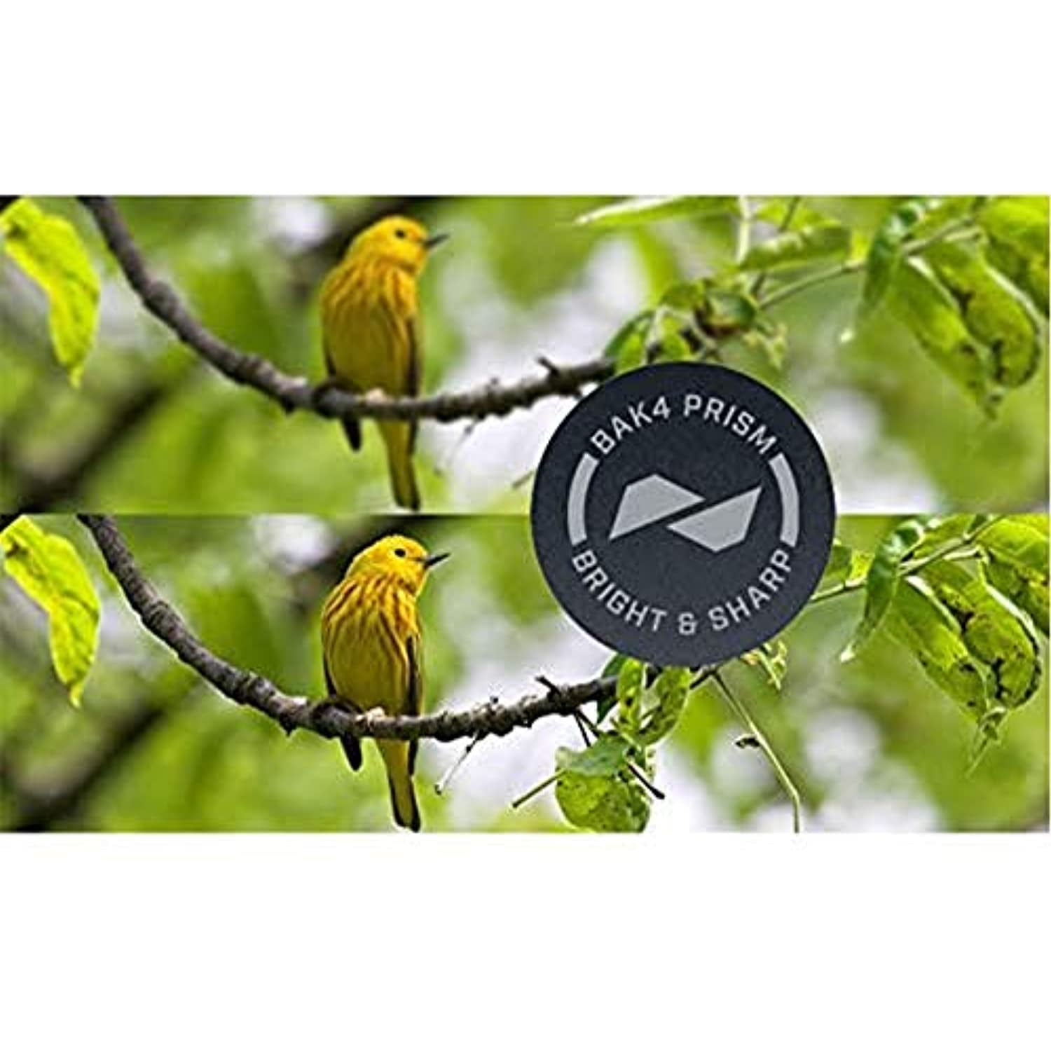 Bushnell H2O Waterproof/Fogproof Roof Prism Binocular, 10 x 42-mm, Black