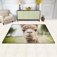 thumbnail image 3 of Coolnut Portrait Brown Alpaca Area Rug Pad, 100% Light Weight Polyester Fabric Floor Mat for Living Room Bedroom,5'x 3'3", 3 of 6