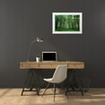 thumbnail image 3 of Londal, Leif 14x11 White Modern Wood Framed Museum Art Print Titled - Forest View, 3 of 4