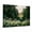 D, variant on XaaKee Canvas Art Prints Soft Focus Serene Woodland Wall Print Inner Framed 18*12Inch