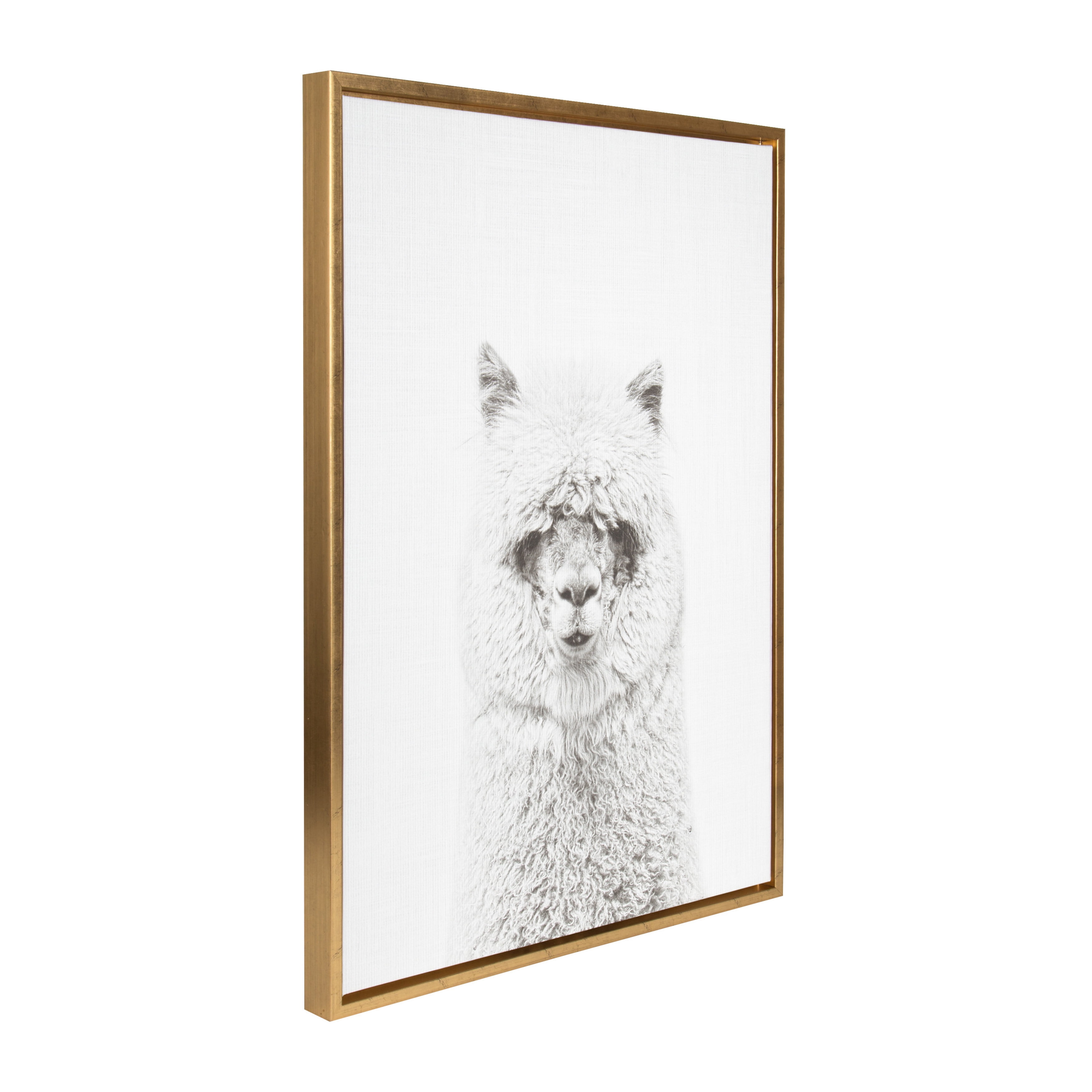 Kate and Laurel Sylvie Hairy Alpaca Black and White Portrait Framed Canvas Wall Art by Simon Te Tai, 23x33 Gold