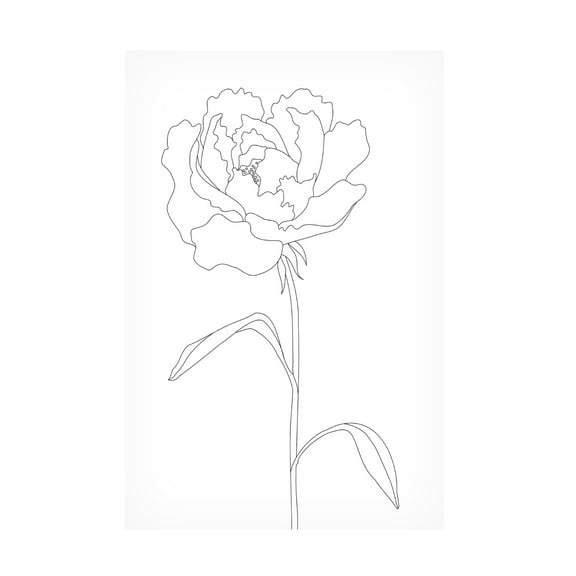 Pictufy Studio II 'Peony Lines' Canvas Art - 12 x 19 Inches