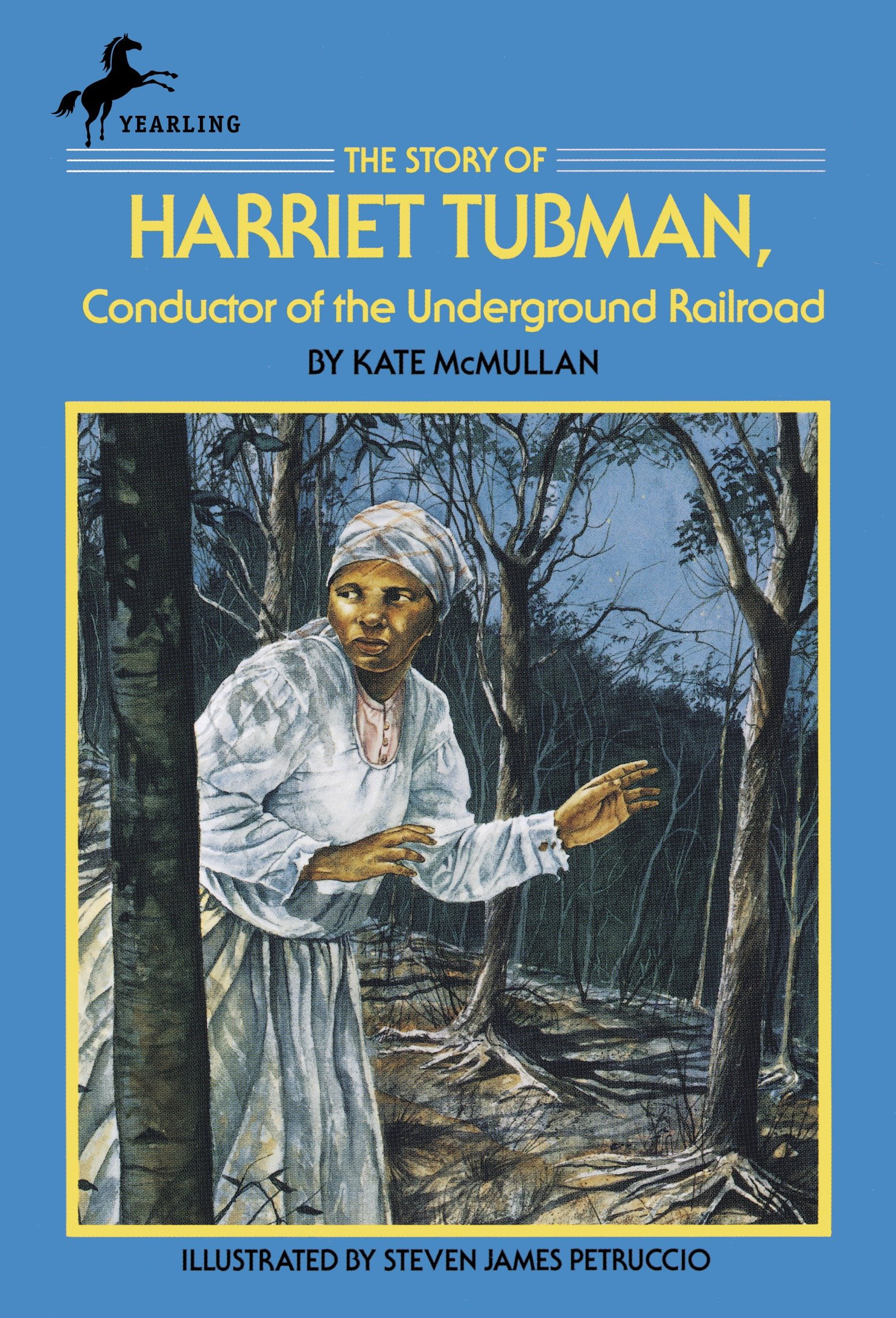 harriet tubman and the underground railroad story