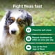 thumbnail image 4 of Tratamiento antipulgas masticable para perros Advantus, 10 — 50 kg, 7 unidades, 4 of 9