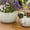 Khaki, variant on Adorable Pug Planter Pot Hanger Resin Puppy Vase Hugger Figurine For Garden Decorations