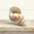 thumbnail image 3 of Nai, Danhui 15x15 Black Modern Framed Museum Art Print Titled - Driftwood Shell I, 3 of 5