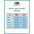 thumbnail image 2 of Fruit of the Loom 7-Pack Boys Briefs Size X-Large 18-20, 2 of 2