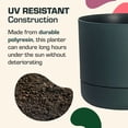 thumbnail image 6 of Rugg 12" x 12" x 9" Round Green Resin Plant Planter, 6 of 6