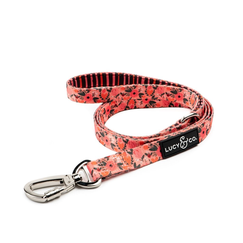 Lucy & Co. Posy Pink Dog Leash