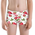 thumbnail image 5 of Yiaed Strawberry1 Print Boys' Boxer Briefs Cotton Casual Stretch Comfort Boys Boxers - Kids Boxer Briefs Underwear for Boys (6-18)-X-Large, 5 of 5