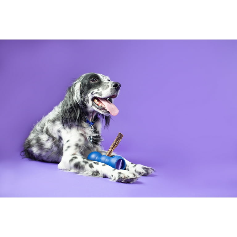 Bow Wow Labs Bow Wow Buddy Bully Stick Holder for Dogs Starter Kit, Medium  - Walmart.com