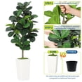 thumbnail image 2 of QinaQin Árbol artificial de hoja de violín de 5 o 6 pies en maceta blanca, planta decorativa realista para sala, oficina o hogar, 2 of 7