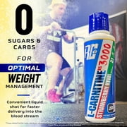 Ronnie Coleman Signature Series L-Carnitine-XS Mango Pineapple (3,000mg) Fat Burner