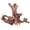 Mopani driftwood (13-17 inch pack of 1), variant on Wood For Aquarium Decor 2-piece 11''-14'' Long Driftwood Branches Fish Tank Decorations