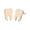 Gold, variant on Tooth Earrings Fashion Teeth Personality Alloy Earrings Teeth Earrings Temperament Simple Breast Teeth Earrings