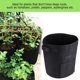 thumbnail image 2 of Bolsa para cultivo de patatas y tomates para jardines al aire libre - Macetero de tela transpirable para plantas de hortalizas (negro), 2 of 8