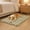 Style B, variant on Pet Bed Mat, Soft Plush Bubble Cozy Warm, 1 Piece No-Slip Washable Blanket for Dogs Cats, Indoor Sleeping Resting Floor Couch Crate Use for Small Medium Large Pets
