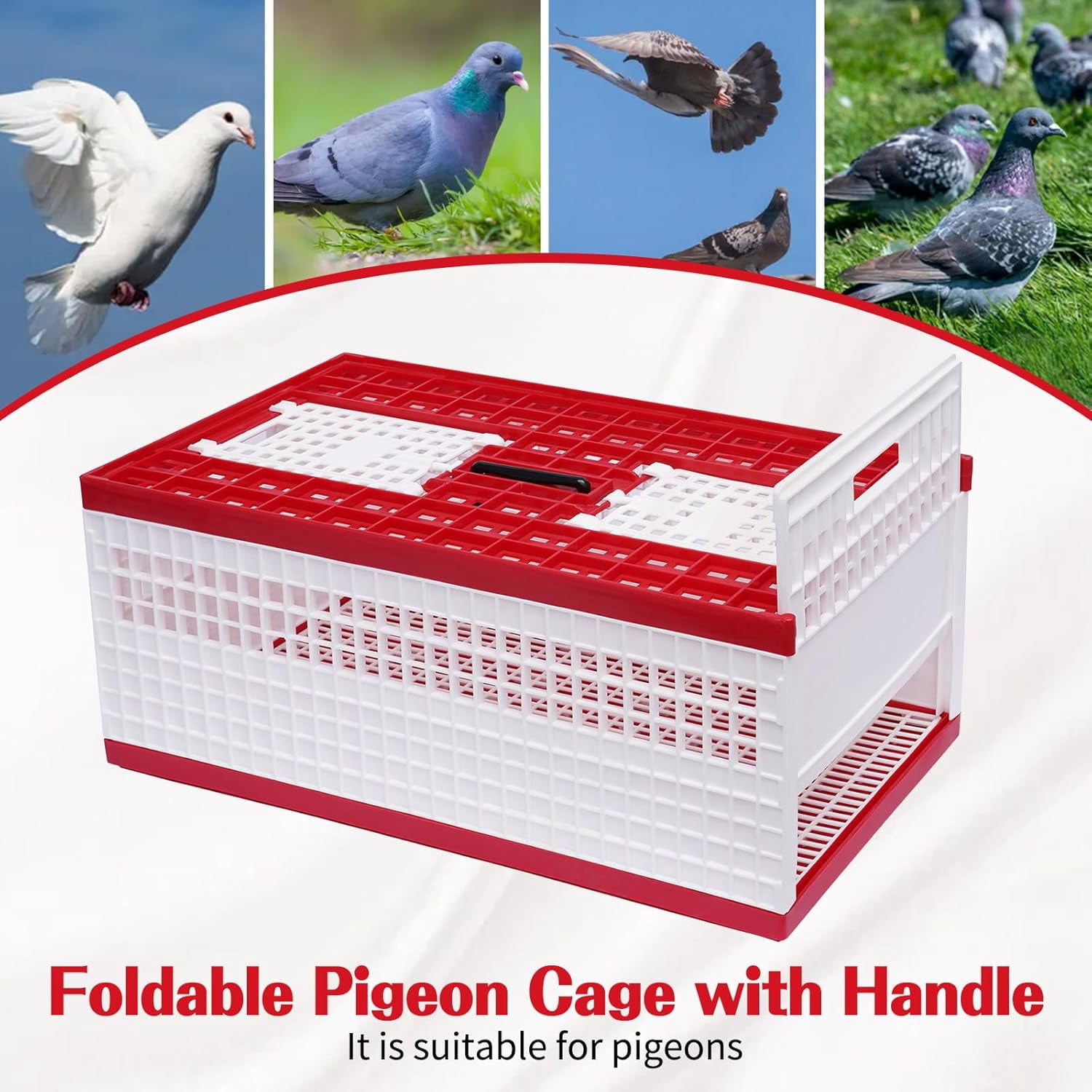 Racing Pigeon Carrier Box, Bird Training Basket Folding Pigeon Training Release Cage with 2 Side Doors + 2 Top Department