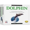 Eyewitness Kits Perfect Cast Dolphin Cast, Paint, Display and Learn Craft Kit