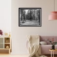 thumbnail image 3 of Historic Framed Print, Coulterville Road, Between Foresta & All-Weather Highway, Yosemite Village, Mariposa County, CA - 6, 17-7/8" x 21-7/8", 3 of 9