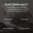 thumbnail image 3 of MIZON Black Snail All In One Cream Intensive Korean Skin Care Facial Moisturizing Snail Mucin Extract 2.54 fl oz, 3 of 10