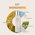 thumbnail image 7 of TIRTIR Milk Skin Toner - 5.07 oz, 7 of 7