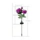 thumbnail image 3 of Luces solares con forma de peonía para exteriores, estacas artificiales para jardín, impermeables, iluminación decorativa para patio y jardín., 3 of 6