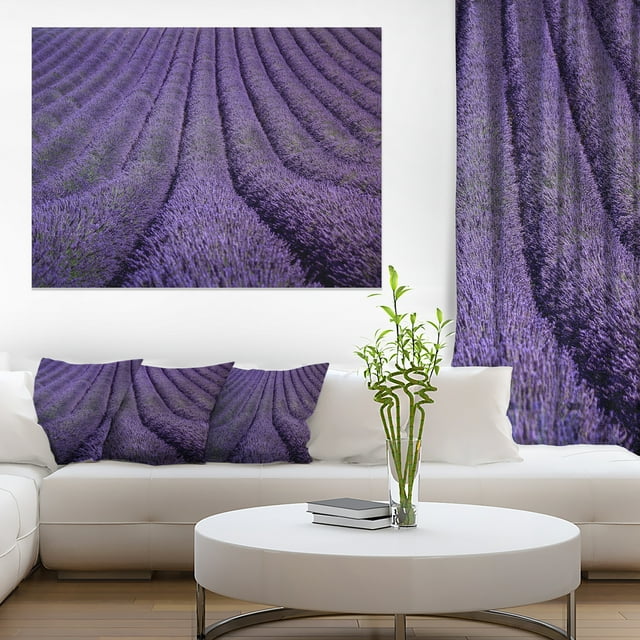 Texture de Fleur de Lavande en Floraison - Impression d'Art sur Toile Paysage