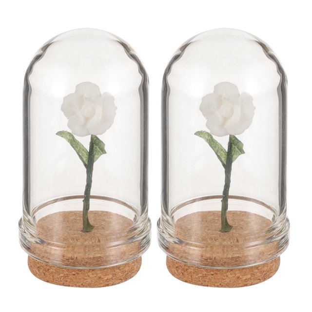 MasteelfCA 2pcs Miniature Flower In Dome Miniature Scene Model Mini Flower in Dome for Tiny House Centerpieces