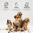 thumbnail image 7 of Petglow Dog Ear Cleaner Solution for Ear Infection, Yeast, Wax & Debris, Lavender 4 fl Oz, 7 of 7
