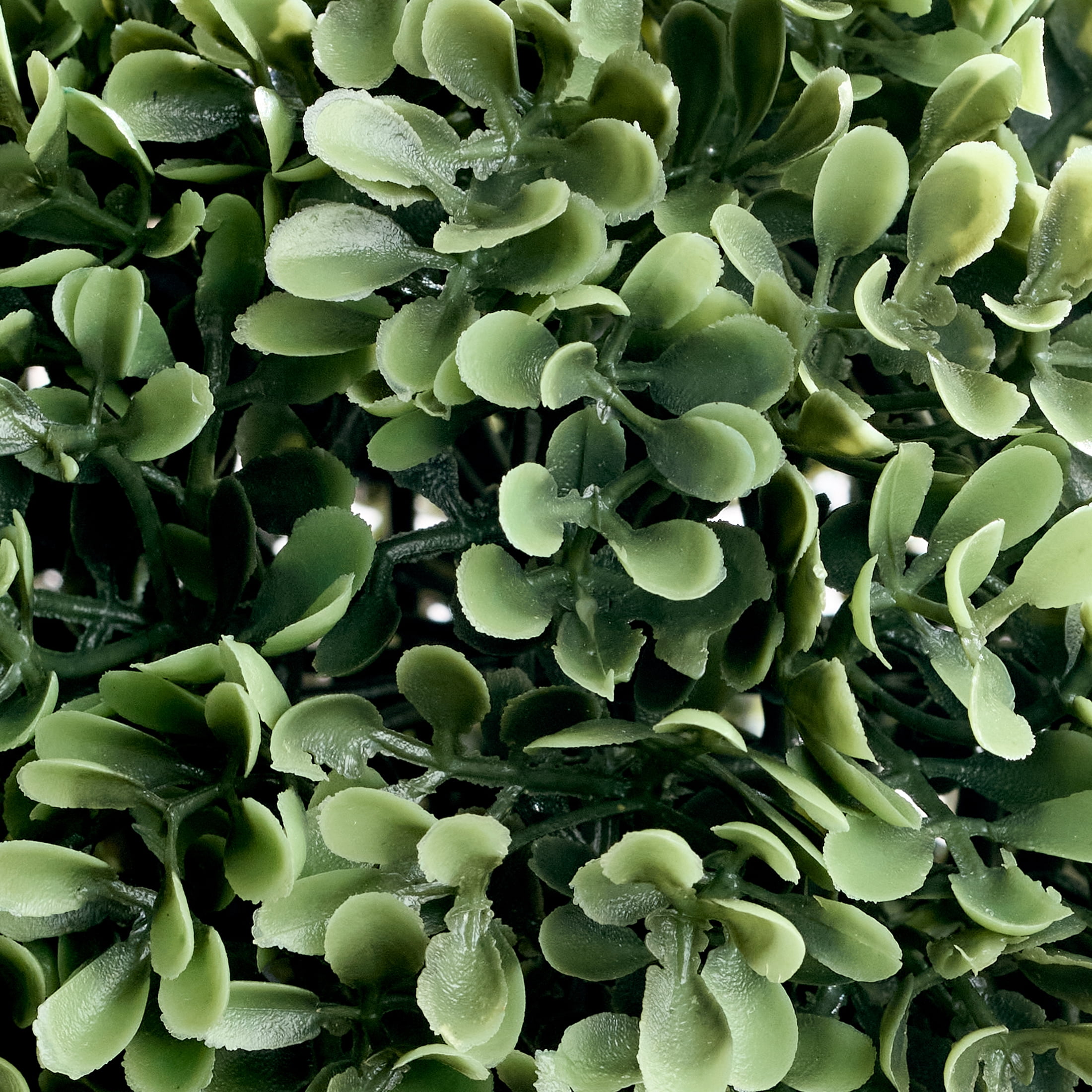 Better Homes & Gardens 9” Artificial Boxwood Tree in White Ceramic Pot for Tabletops- 1 lbs