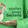 thumbnail image 4 of Softsoap Liquid Hand Soap Refill, Soothing Aloe Vera, 1.47 L, 4 of 5